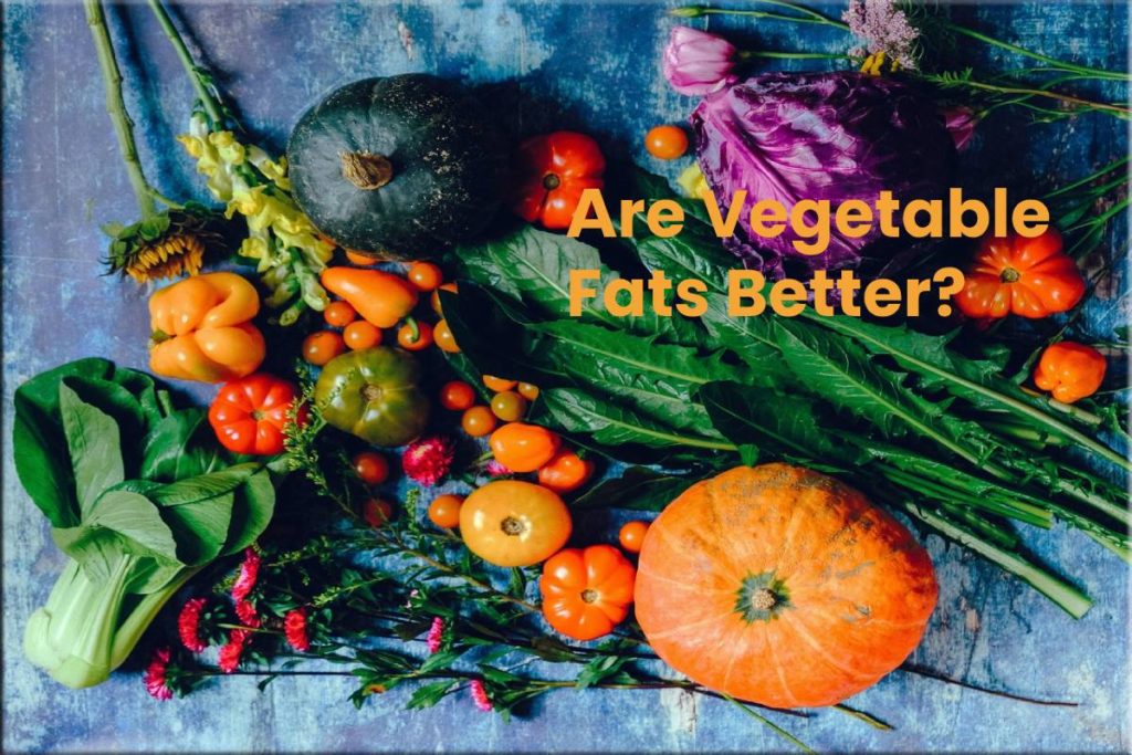 Are Vegetable Fats Better?