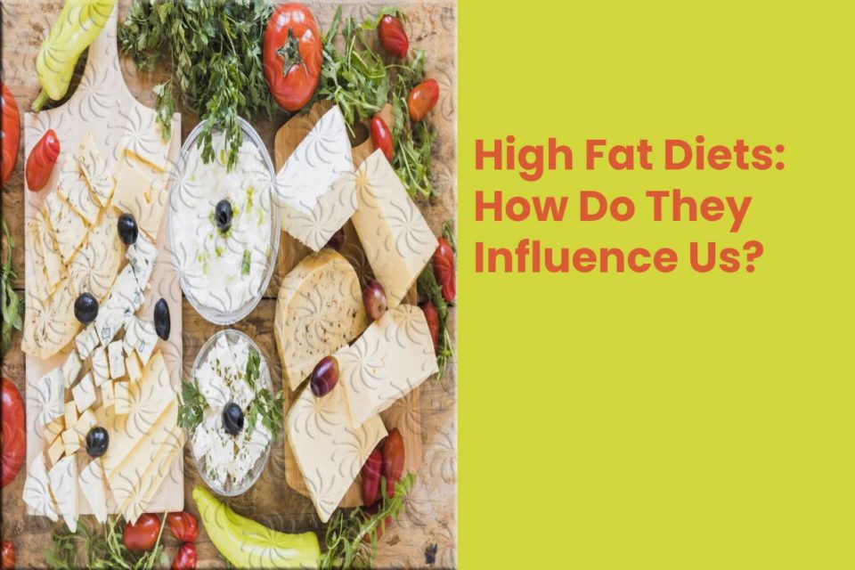 High Fat Diets: How Do They Influence Us?