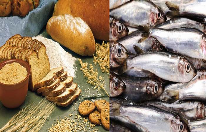 Linoleic Acid