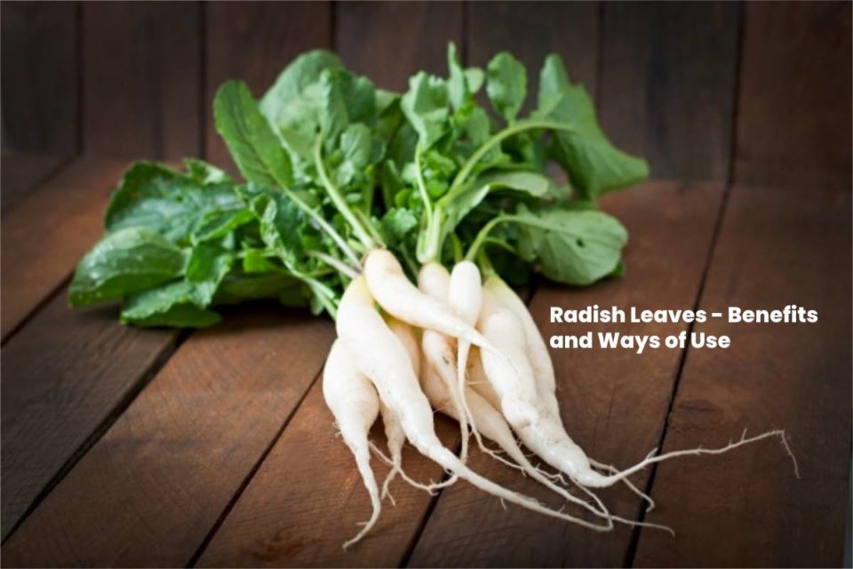Radish Leaves