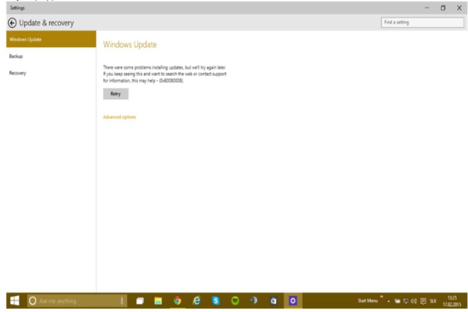 Feature Update To Windows 10 Version 1903 Error 0x80080008 (1)