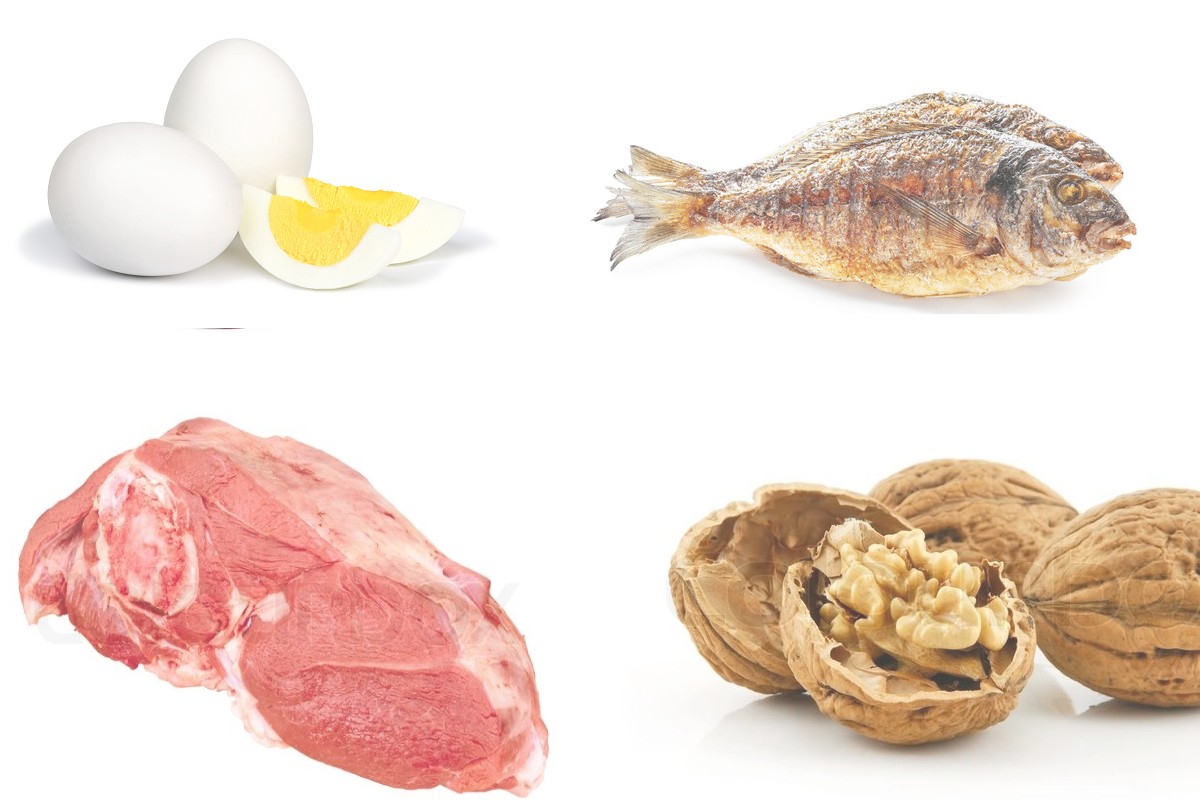 Stay Healthy, Take Protein Daily: What Does Protein Do To Your Body?