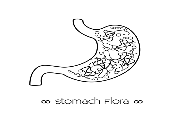 Bacteria Gut Test