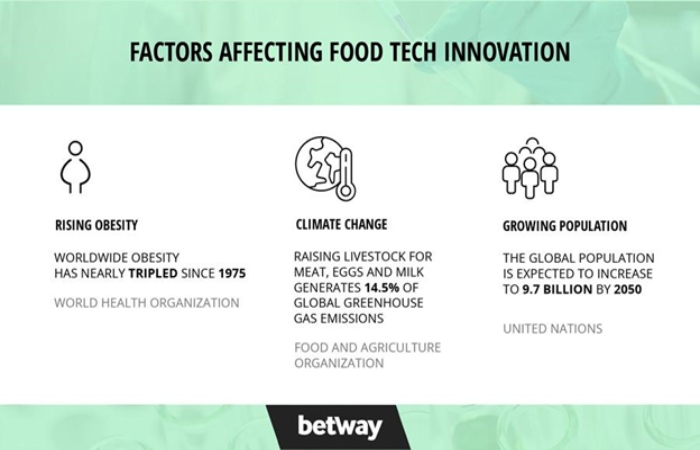 Food Industry