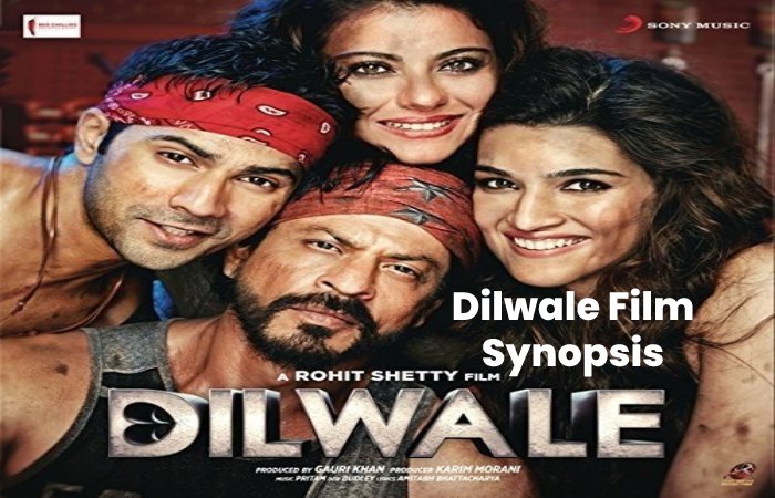 Dilwale Film Synopsis