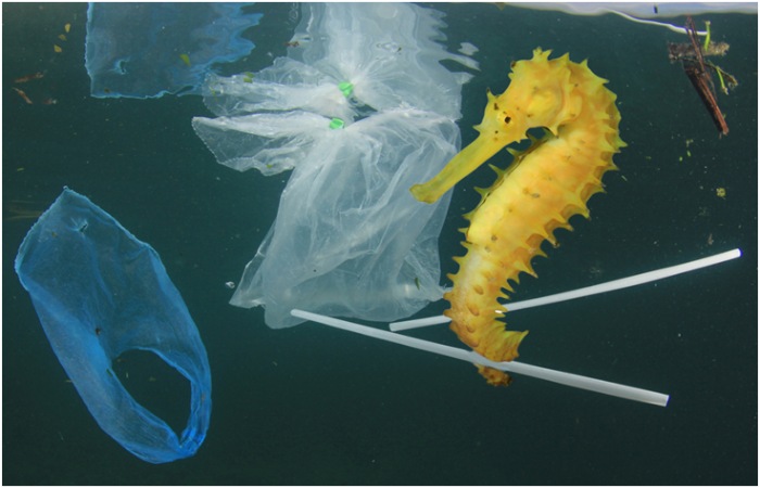 Sustainability 