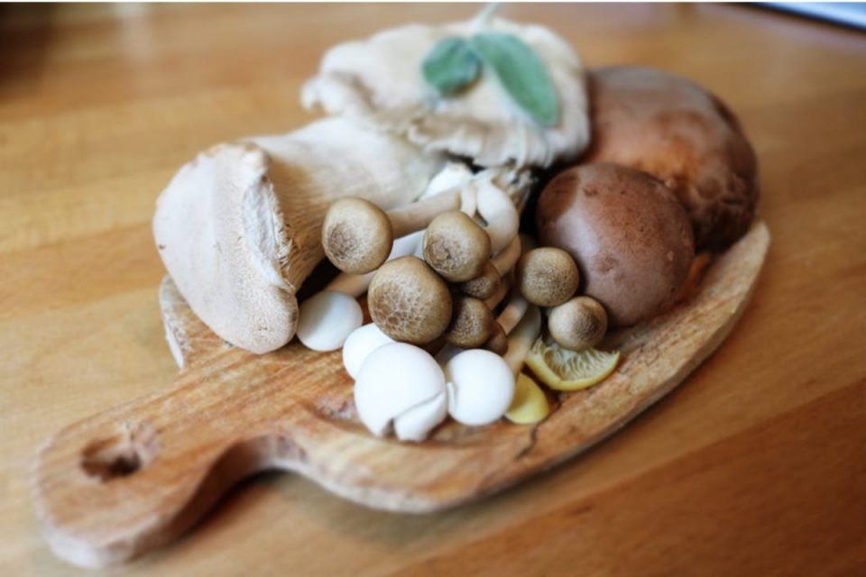 https://www.beingnaturalhuman.com/the-4-types-of-medicinal-mushrooms-and-their-unique-health-benefits/