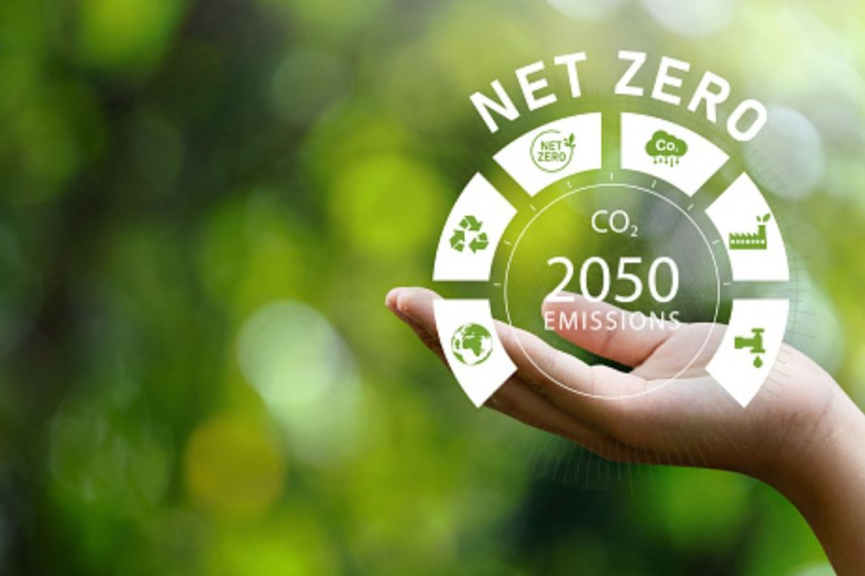 zero carbon shipping
