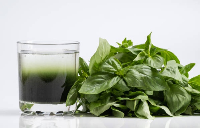 Liquid Chlorophyll