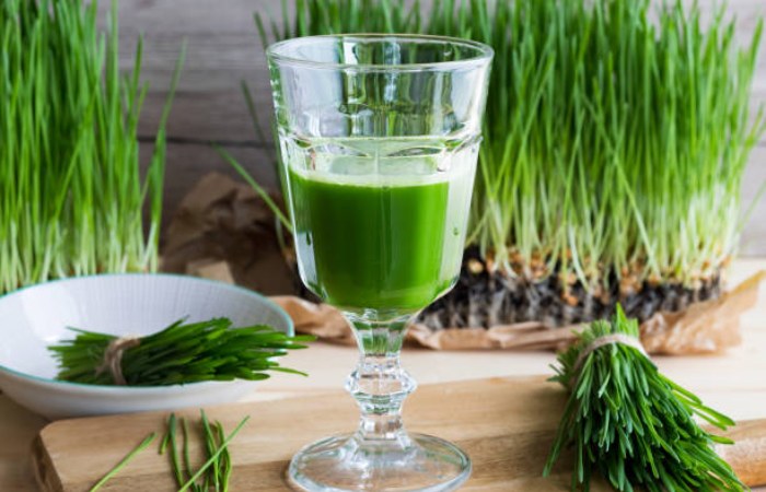 Liquid Chlorophyll