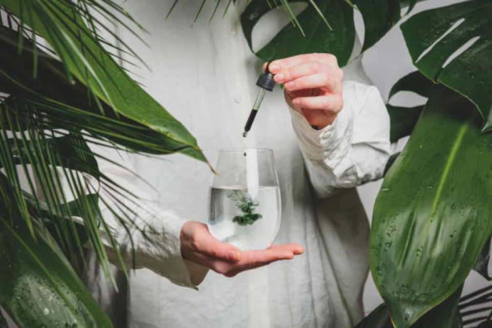Liquid Chlorophyll