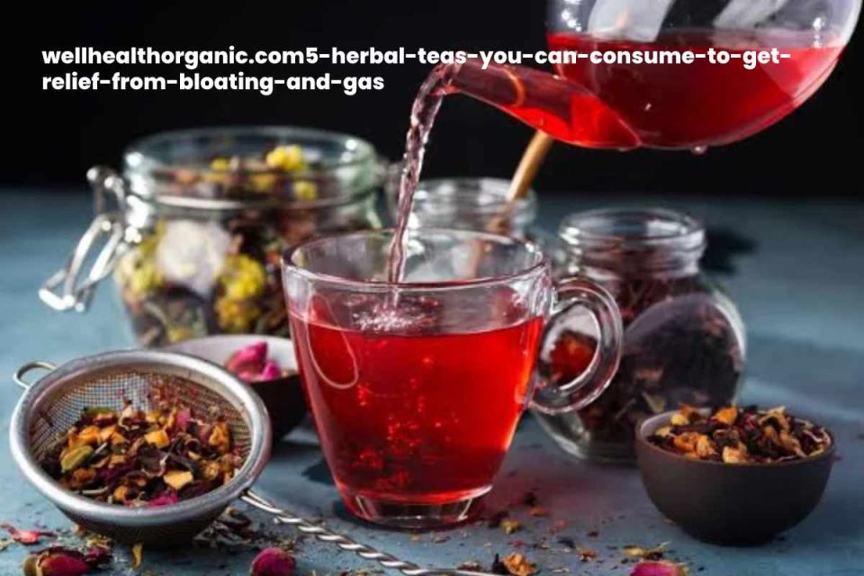 wellhealthorganic.com5-herbal-teas-you-can-consume-to-get-relief-from-bloating-and-gas