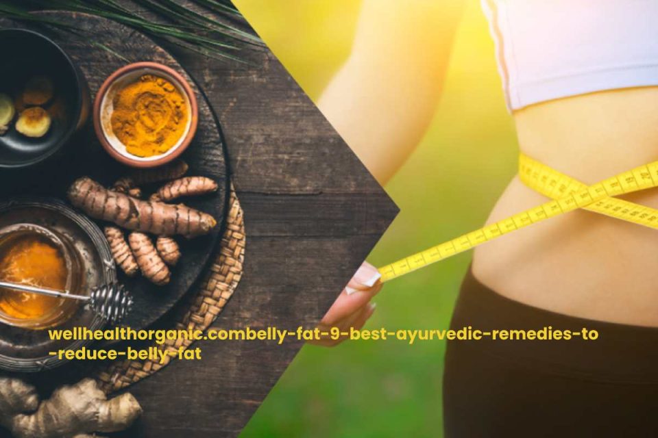 wellhealthorganic.combelly-fat-9-best-ayurvedic-remedies-to-reduce-belly-fat