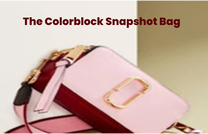 The Colorblock Snapshot Bag