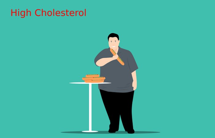 High Cholesterol Write For Us