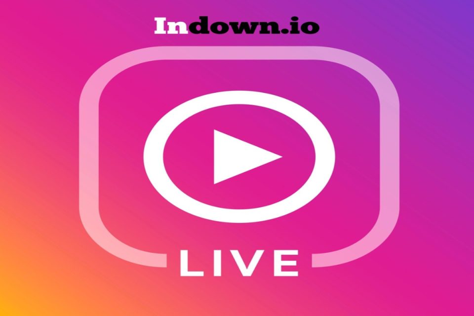 Indown.io