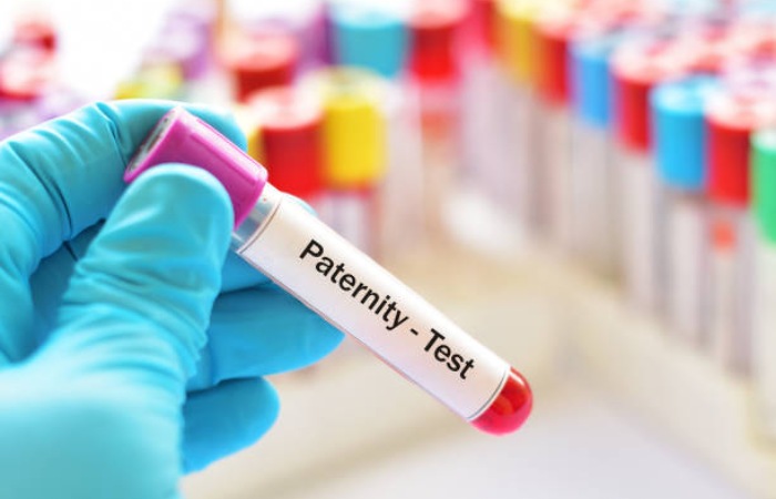 DNA Paternity Testing Write for Us