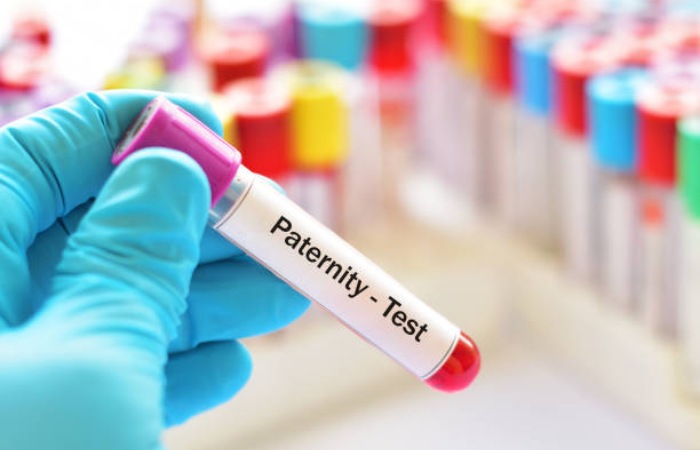 DNA Paternity Testing Write for Us