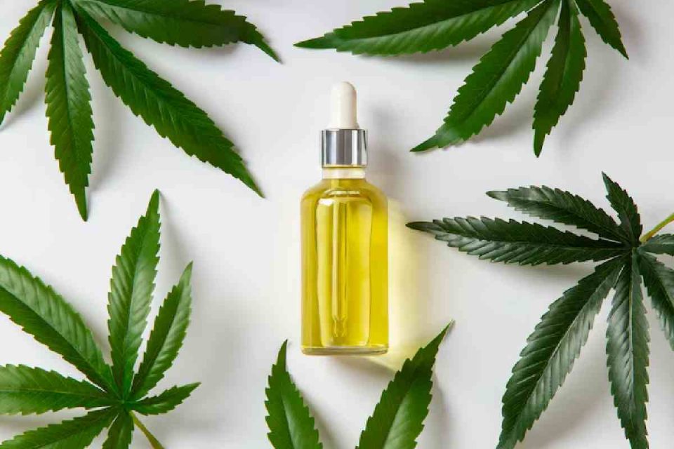 CBD Oil