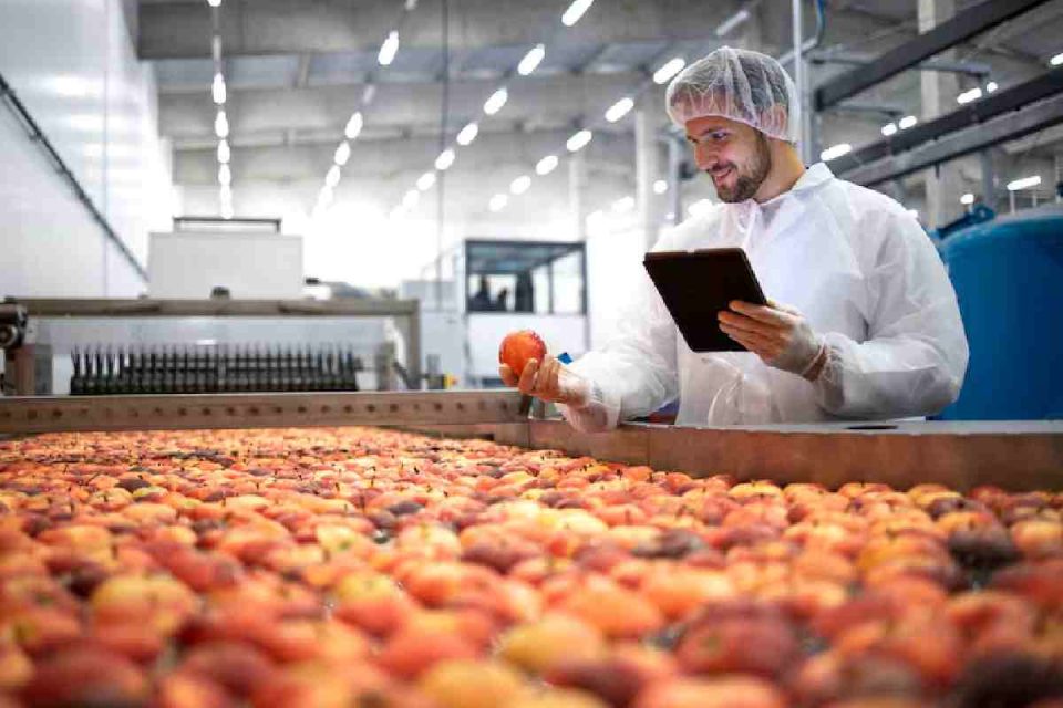 Food Industry