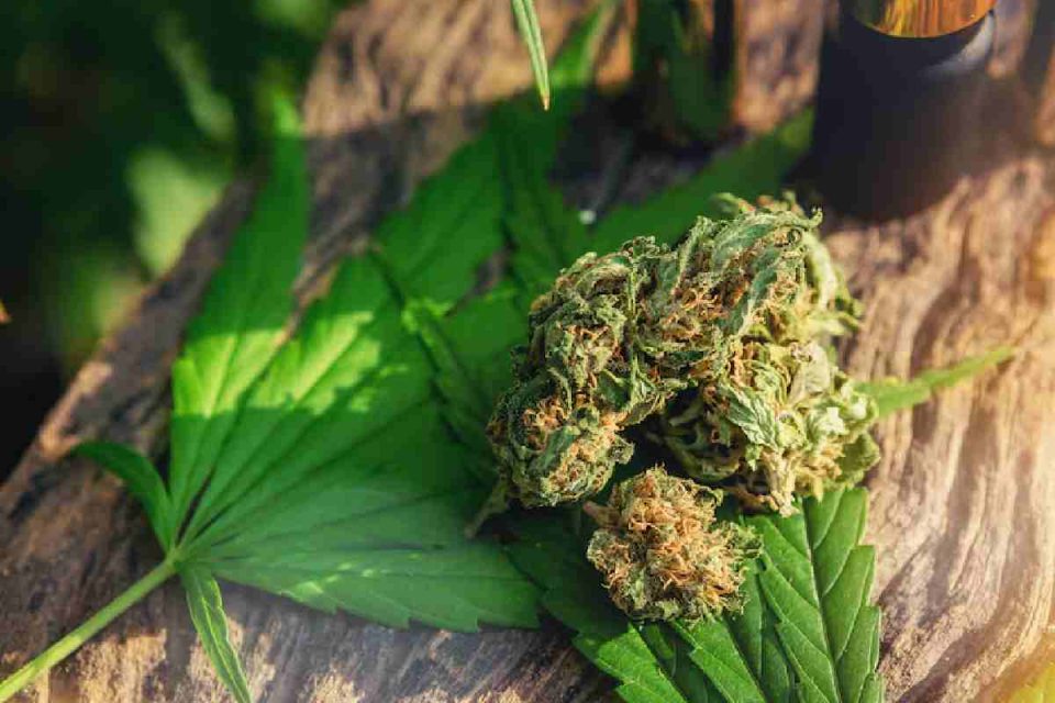 THC