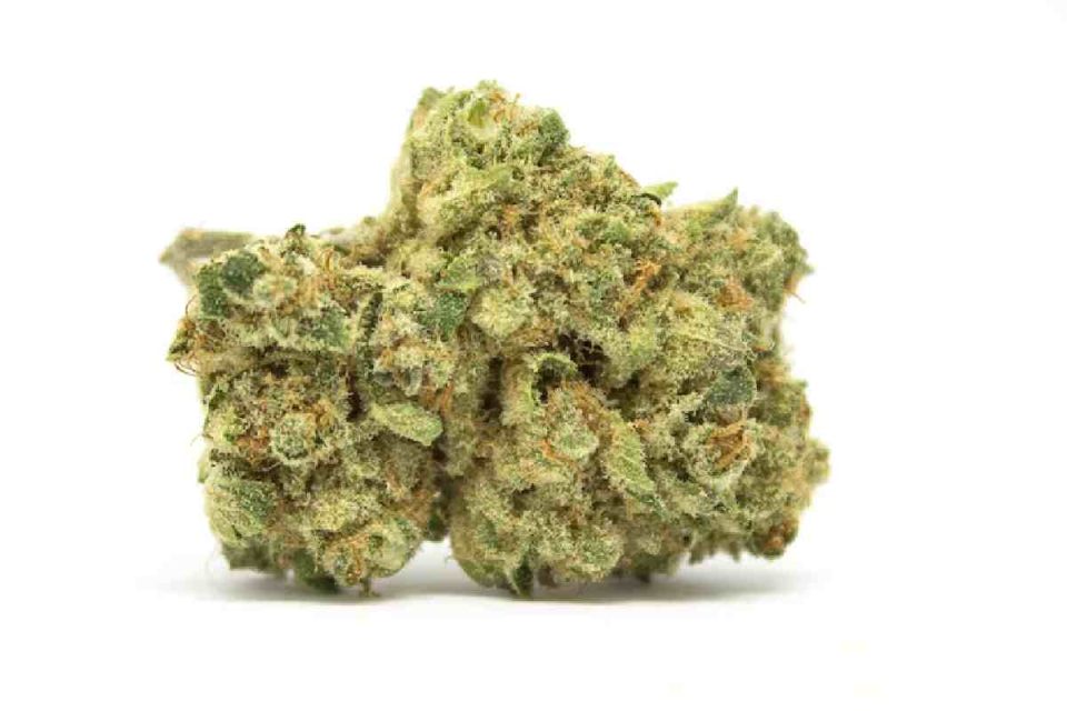 Weed